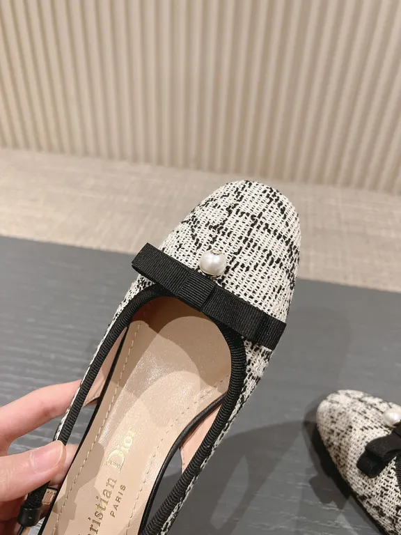 Dior Shoe 